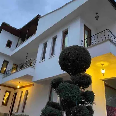 Defne Tekirdag